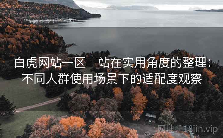 白虎网站一区|站在实用角度的整理:不同人群使用场景下的适配度观察