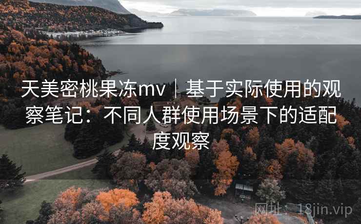 天美密桃果冻mv｜基于实际使用的观察笔记：不同人群使用场景下的适配度观察