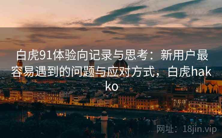 白虎91体验向记录与思考：新用户最容易遇到的问题与应对方式，白虎hakko