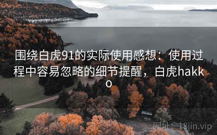 围绕白虎91的实际使用感想：使用过程中容易忽略的细节提醒，白虎hakko
