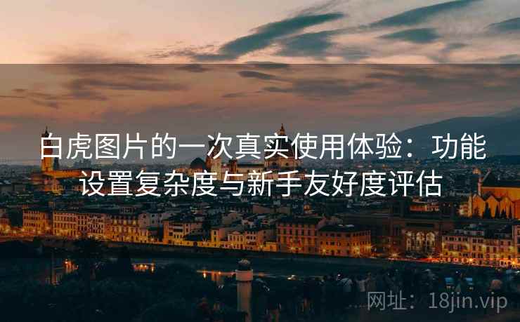 白虎图片的一次真实使用体验：功能设置复杂度与新手友好度评估  第2张