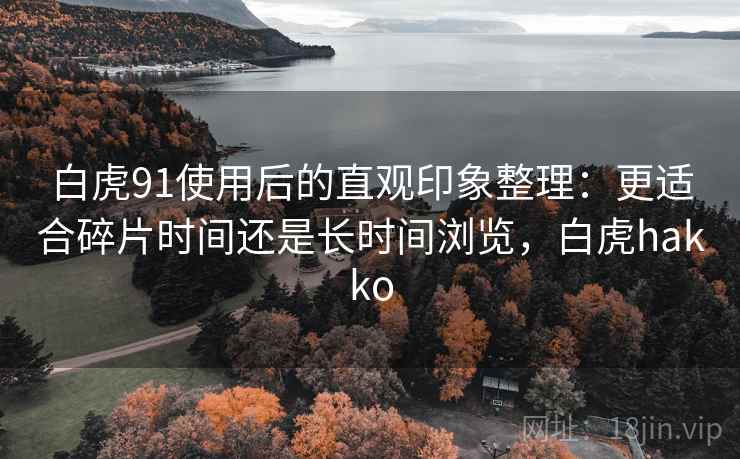 白虎91使用后的直观印象整理:更适合碎片时间还是长时间浏览,白虎hakko