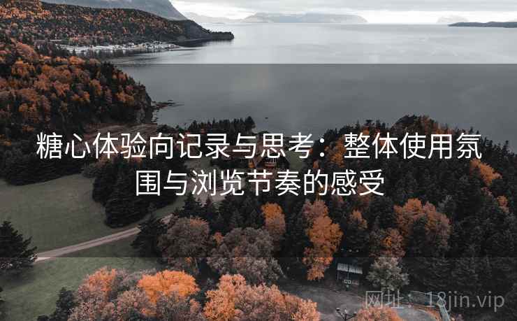 糖心体验向记录与思考:整体使用氛围与浏览节奏的感受