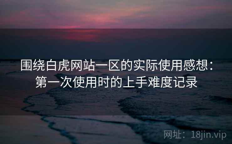 围绕白虎网站一区的实际使用感想:第一次使用时的上手难度记录