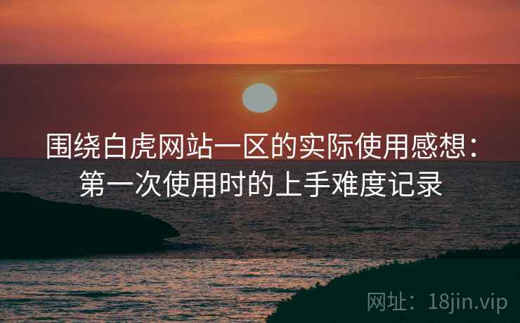 围绕白虎网站一区的实际使用感想:第一次使用时的上手难度记录