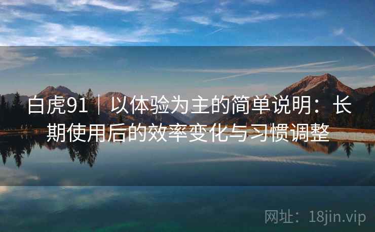 白虎91｜以体验为主的简单说明：长期使用后的效率变化与习惯调整