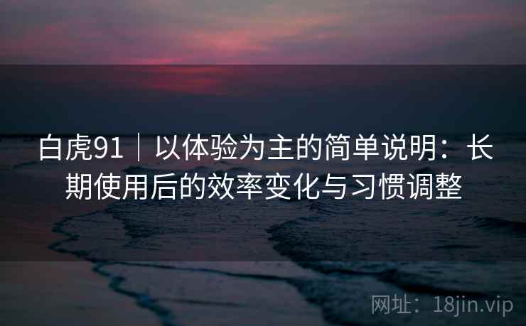 白虎91｜以体验为主的简单说明：长期使用后的效率变化与习惯调整