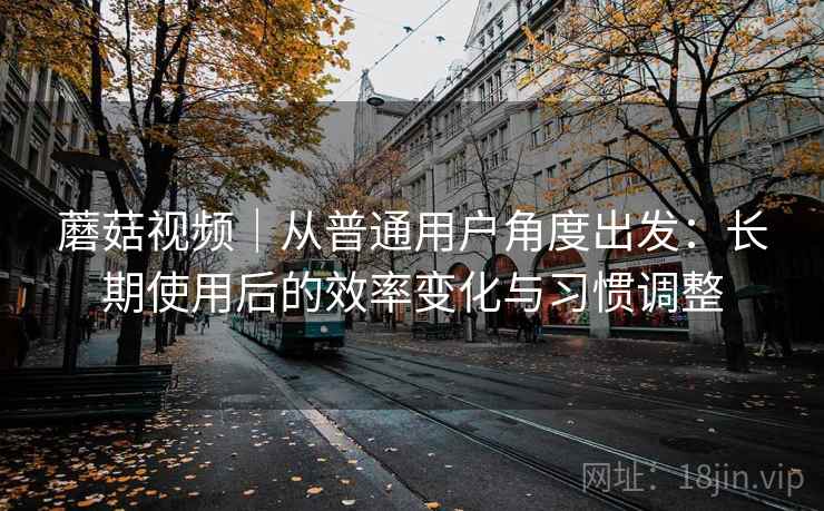 蘑菇视频|从普通用户角度出发:长期使用后的效率变化与习惯调整