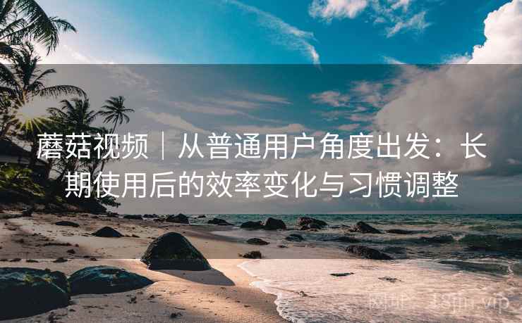 蘑菇视频|从普通用户角度出发:长期使用后的效率变化与习惯调整