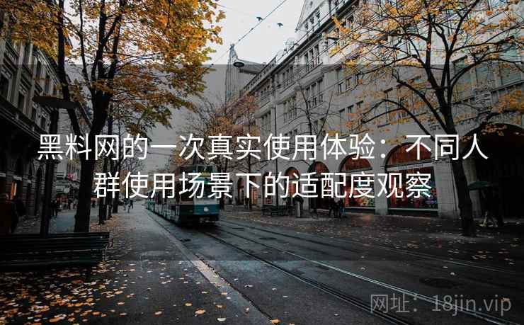 黑料网的一次真实使用体验：不同人群使用场景下的适配度观察