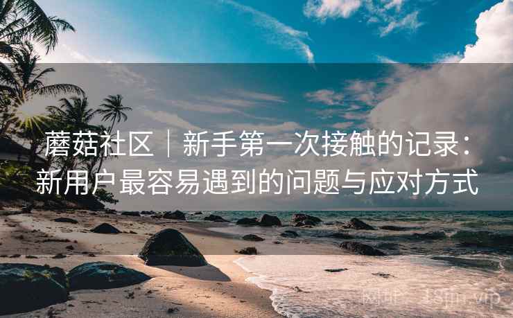 蘑菇社区|新手第一次接触的记录:新用户最容易遇到的问题与应对方式