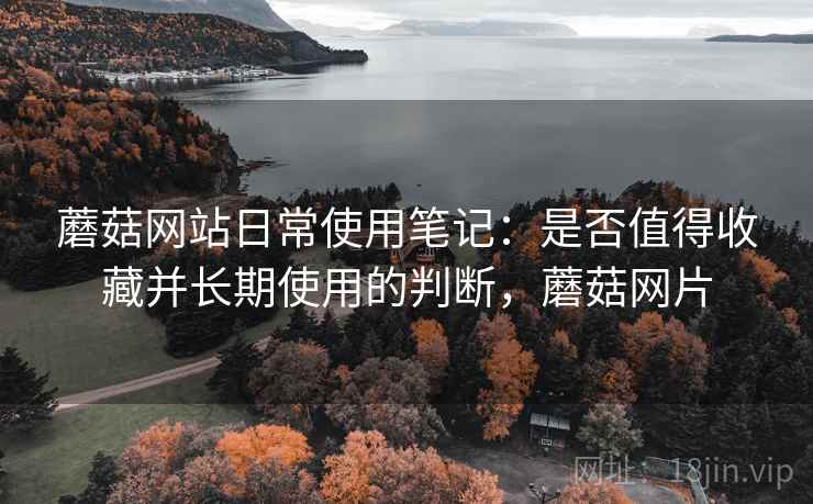 蘑菇网站日常使用笔记:是否值得收藏并长期使用的判断,蘑菇网片