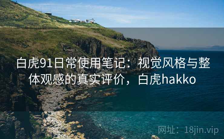 白虎91日常使用笔记：视觉风格与整体观感的真实评价，白虎hakko
