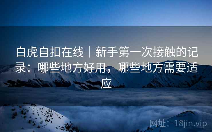 白虎自扣在线｜新手第一次接触的记录：哪些地方好用，哪些地方需要适应