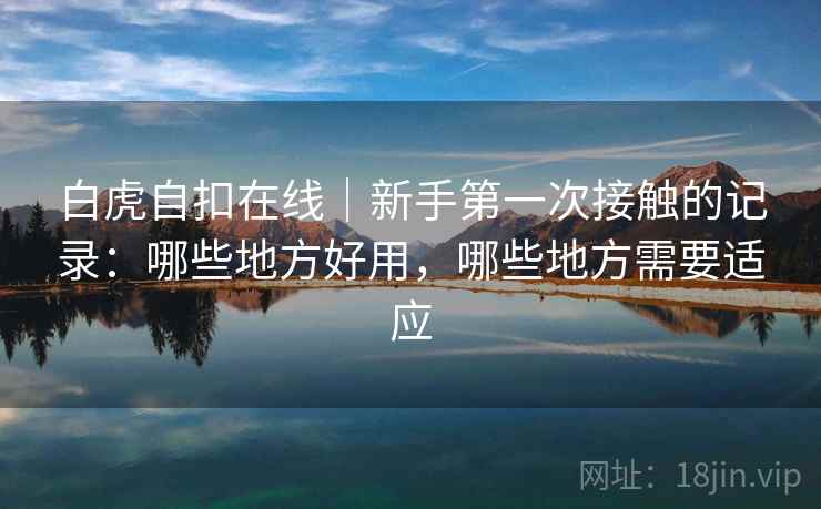 白虎自扣在线｜新手第一次接触的记录：哪些地方好用，哪些地方需要适应