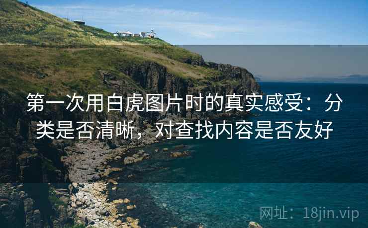 第一次用白虎图片时的真实感受:分类是否清晰,对查找内容是否友好