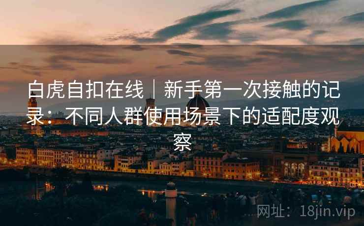 白虎自扣在线｜新手第一次接触的记录：不同人群使用场景下的适配度观察