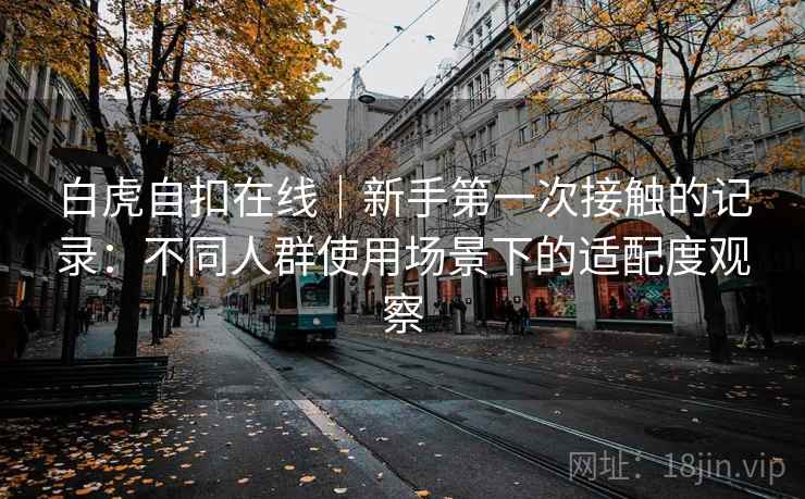 白虎自扣在线｜新手第一次接触的记录：不同人群使用场景下的适配度观察