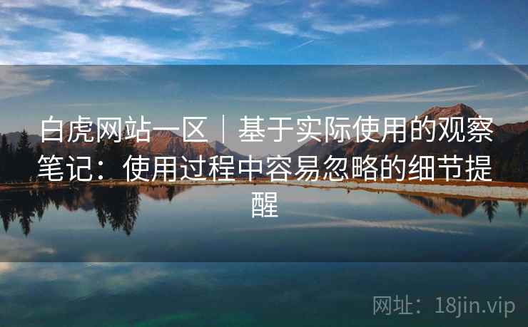 白虎网站一区|基于实际使用的观察笔记:使用过程中容易忽略的细节提醒