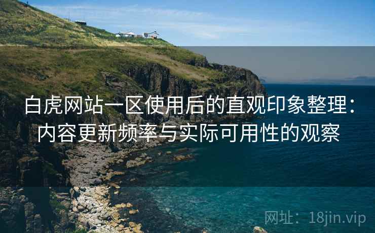 白虎网站一区使用后的直观印象整理:内容更新频率与实际可用性的观察