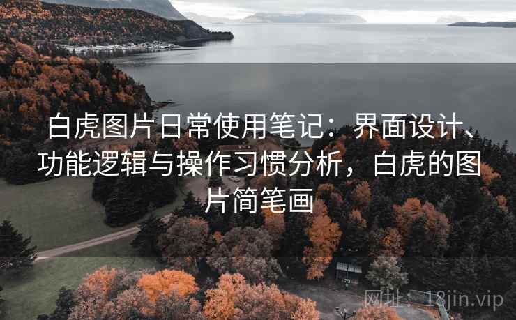 白虎图片日常使用笔记：界面设计、功能逻辑与操作习惯分析，白虎的图片简笔画