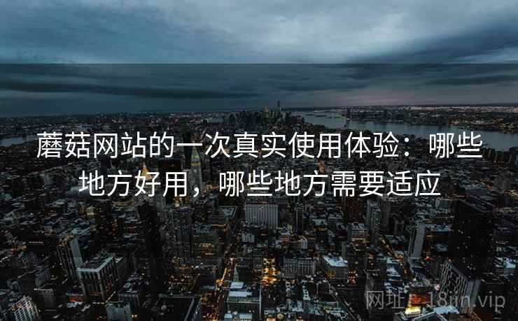 蘑菇网站的一次真实使用体验：哪些地方好用，哪些地方需要适应