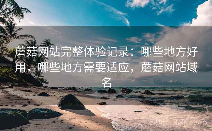 蘑菇网站完整体验记录：哪些地方好用，哪些地方需要适应，蘑菇网站域名